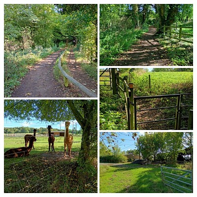 The Eaton's Way north of Hopwell Hall.