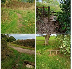 Between 'Dale Abbey' and 'Stanley Village'.