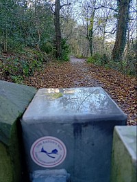 Drum Hill Woods.